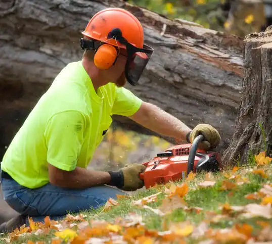 tree services Mechanicstown